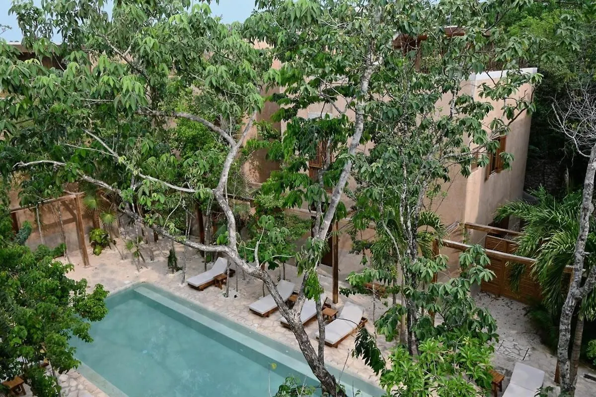 Divine Home 3Br,Gated, Concierge, Rooftop Tulum